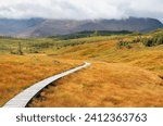 Newfoundland Gros Morne National Park Boardwalk Trail through Highlands in Autumn