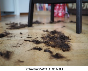 Newly Cut Hair On The Floor