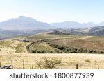 Newly established terraces of macadmia nuts in Great Brak South Africa