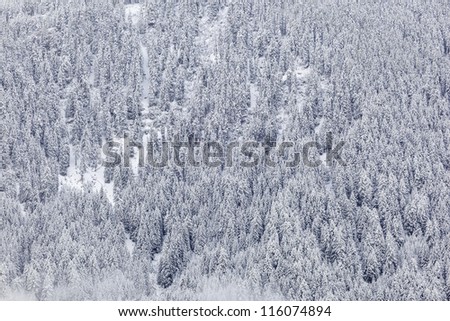 Similar – Winter in the Giant Mountains near Pec pod Snezkou, Czech Republic