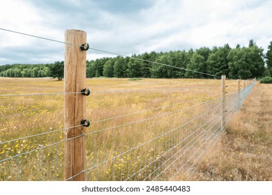 Newly installed electric fence and wooden posts seen on a farm within an area of natural beauty in the UK. A distant forest can be seen. - Powered by Shutterstock