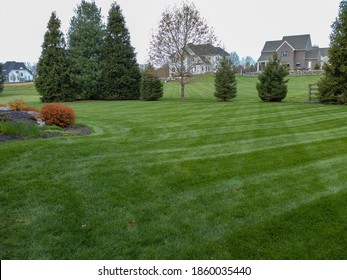 A newly mowed striped green lawn in the springtime with houses in the background.