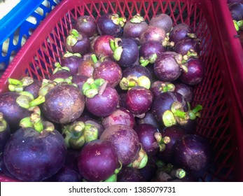 Newly Picked Fresh Mangosteen Fruits Sale Stock Photo (Edit Now) 1385079731