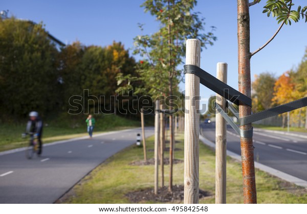 Newly planted trees at roadside,\
with supporting stakes. Focus on stake, people are blurred.\
