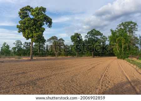 Newly ploughed rice fields showing dry lifeless soil before start of rainy season Asia Thailand