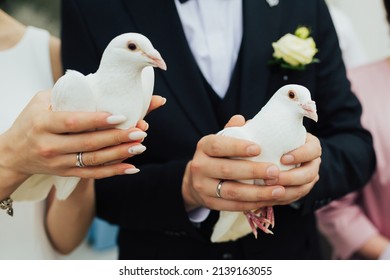 coince dove weddings rings