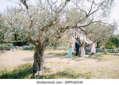 Newlyweds stand under a tree in front of the ceremonial master in the park - Powered by Shutterstock