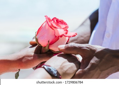 Newlyweds At The Wedding Romantic Couple Holding Hands During Destination Wedding Marriage Matrimonial Ceremony On The Sandy Beach In Dominican Republic, Punta Cana. Family, Love, Unity Concept.  
