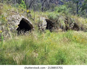 Newnes Beehive Kilns Industrial Site Ruins New South Wales Australia. Overgrown In The Australian Bush