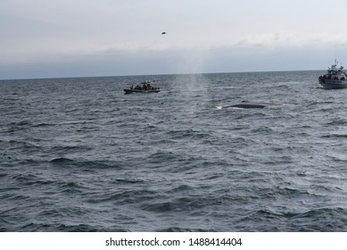 Newport Beach CA/USA. 04/27/2019 Boat Out Whale Watching 