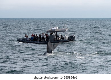 Newport Beach CA/USA. 04/27/2019whale Watching Boat