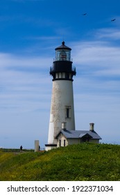 Yaquina Head Lighthouse Sunset Oregon Usa Stock Photo (Edit Now) 681727072