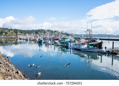 Newport, Oregon, USA - Oct 13, 2017: Commercial Fishing Fleet Moored At Port Of Newport Oregon