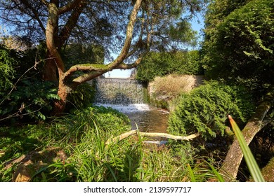 Newstead Abbey, Nottinghamshire, UK 03 25 2022 Japanese style water garden image