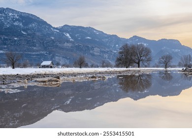 Next to a barn stands a single tree, which is reflected in a puddle. sunset afterglow over dirt road with water, the weather is cloudy, snowy. the linden tree is dominant and towers over the hut - Powered by Shutterstock