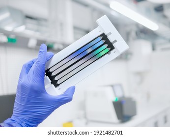 Next Generation Sequencing Flow Cell. Genetic Engineering, Genetic Modification, Designer Baby And Cloning Concept. Cancer Screening And Medical Technology And Therapy