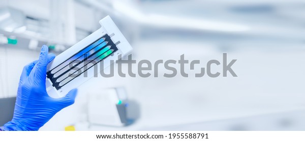next generation sequencing flow cell. genetic
engineering, genetic modification, designer baby and cloning
concept. cancer screening and medical technology and therapy.
banner with copy space.