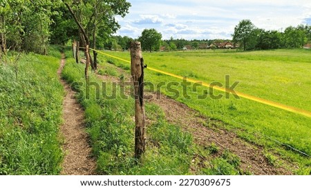 Next to the village is a grassy meadow, which is used as pasture for cattle and is surrounded by posts with a wire fence and a ribbon through which a weak electric current is run - an electric shepher