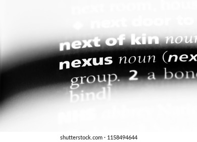 nexus word in a dictionary. nexus concept.