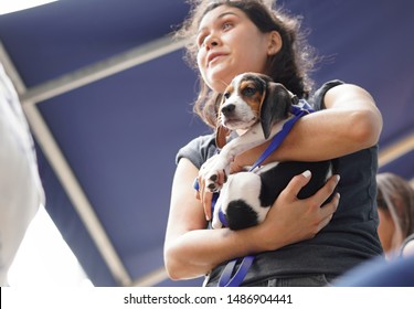 Ney York City, NY / USA - June 29, 2019: Volunteer Holding On Lovingly To A Dog During An Adoption Event