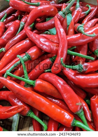Ngawi, March 11, 2024, The price of Large red and Green chilies pappers increases when the intensity of rain is high. 