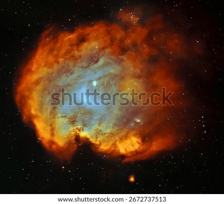 NGC 2175 - The Monkey Head Nebula is an open cluster in the Orion constellation, embedded in a diffusion nebula.