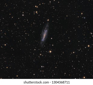 NGC 4236 Barred Spiral Galaxy