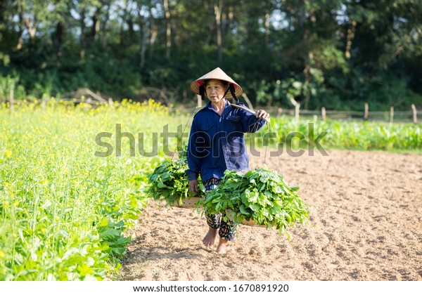 Nghe Viet Nam December 23 2019 Stock Photo (edit Now) 1670891920