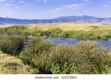 Ngorongoro Conservation Area