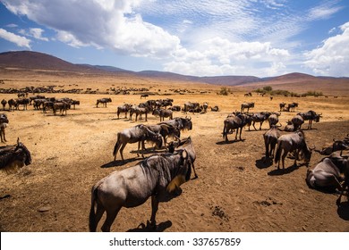 Ngorongoro Crater In Tanzania