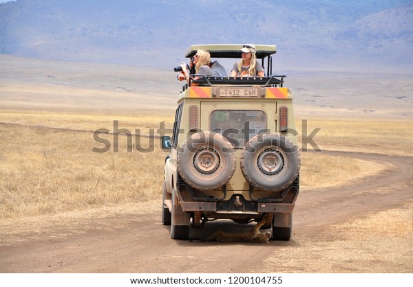 Ngorongoro, Tanzania, September 2014.\
Tourists in safari car taking photos of cute lion cub at the bottom\
of Ngorongoro Crater, adventure vacation in\
Africa