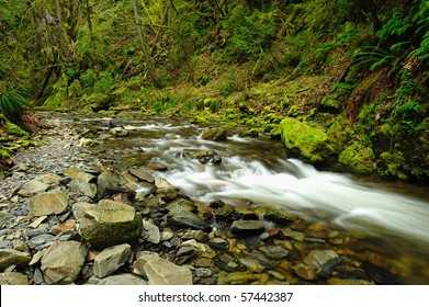 Niagara Creek In Rain Forest, Goldstream Provincial Park, Victoria, Bc, Canada