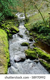 Niagara Creek In Rain Forest, Goldstream Provincial Park, Victoria, Bc, Canada