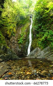 Niagara Creek In Rain Forest, Goldstream Provincial Park, Victoria, Bc, Canada