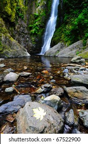 Niagara Creek In Rain Forest, Goldstream Provincial Park, Victoria, Bc, Canada