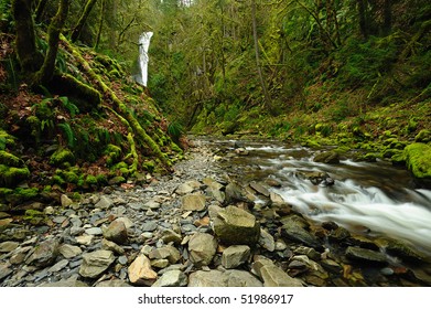 Niagara Waterfall And Creek In Rain Forest, Goldstream Provincial Park, Victoria, Bc, Canada