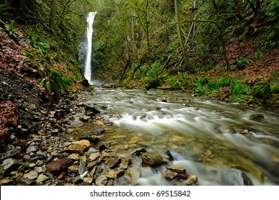 Niagara Waterfall And Creek In Rain Forest, Goldstream Provincial Park, Victoria, Bc, Canada