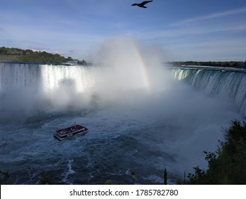 Niagra Falls. Perfect Timing For The Bird And The Boat