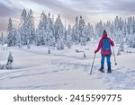 nice and active senior woman hiking with snow shoes in deep powder snow in the  Hochhaedrich area of Bregenz Forest in Vorarlberg, Austria
