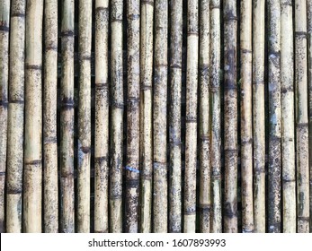 Nice bamboo wall of the longhouse in Sarawak
