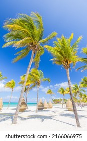 Nice beach with beach chairs, thatched umbrellas and palm trees. luxury beach against the background of the beauty of the sea with coral reefs. summer holiday. Wonderful and beautiful Cuba, Varadero