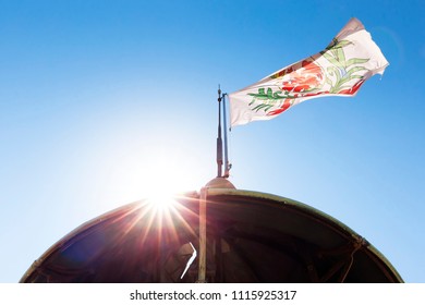 Nice city flag