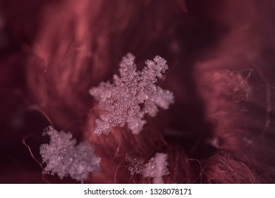 Nice close up snowflake