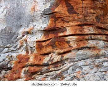 Nice Close Up Of Wrinkly Gum Tree Bark