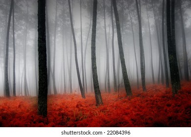 Nice Cold Autumn Landscape Stock Photo 22084396 | Shutterstock