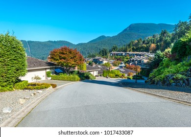 Nice and comfortable neighborhood. Some homes on the empty street in the suburbs of Vancouver, Canada.