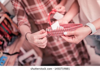 Nice Dog Lead. Close Up Of Shop Assistant Showing Her Constant Customer Nice Red Dog Lead