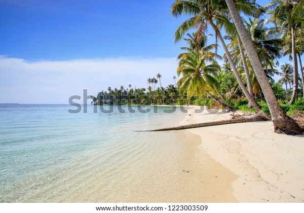 Nice Empty Beach Tropical Desert Island Stock Photo 1223003509 ...