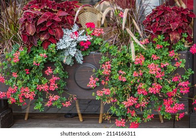 nice flowers in the containers