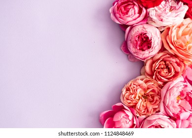 nice fresh roses - Shutterstock ID 1124848469